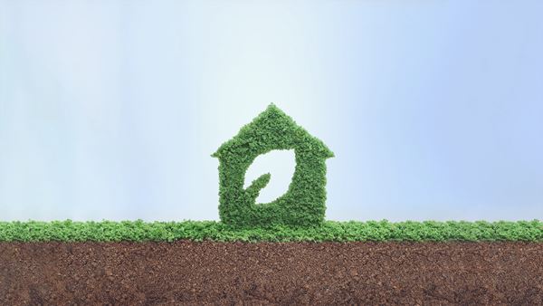 Et miljørigtigt hus i græs