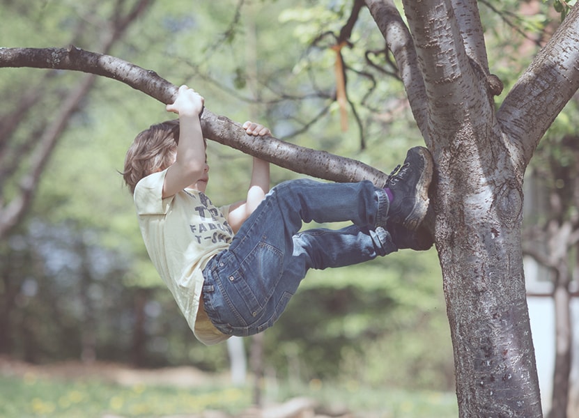 Dreng klatrer i træ